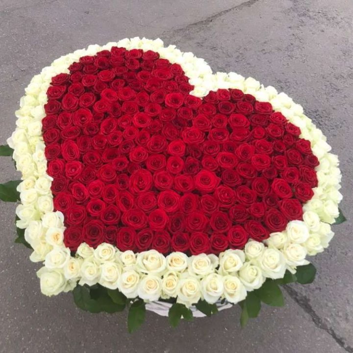 333 розы в корзине в Сиде