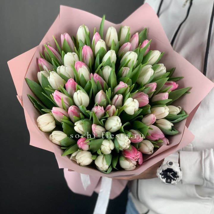 61 тюльпан микс в Сиде